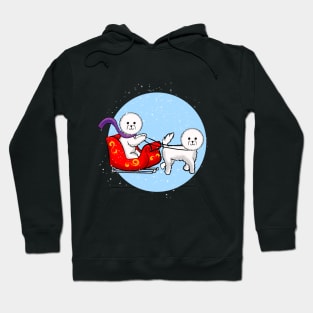 Christmas Bichon Sleigh Ride Hoodie